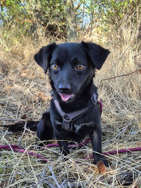 Kleine Nisha sucht ihre Menschen