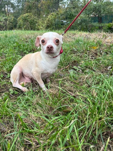 PIXIE -  ich bin gespannt was das Leben Tolles für mich bereithält...