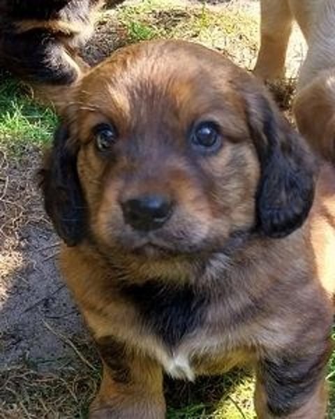 Augustus - Ein Herz, sieben Geschwister, eine Mama