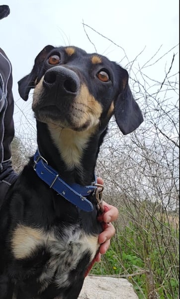 Otto: ein Schatz für die ganze Familie