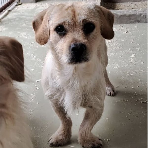 STICKY SUCHT LIEBEVOLLES ZUHAUSE