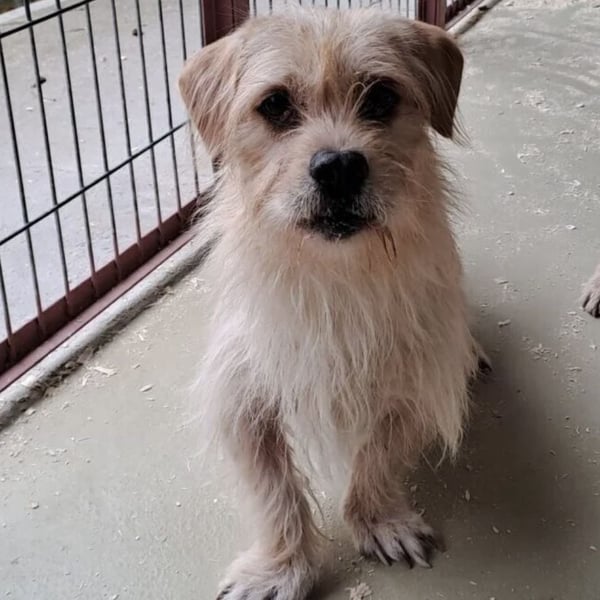 OFFICE TAUT LANGSAM AUF