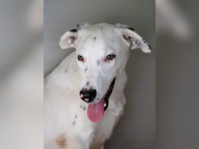 Markus- Ich möchte so gern die Welt kennenlernen