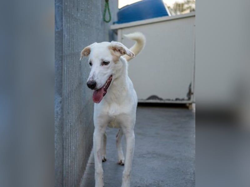 Marilia - ein Clown braucht Zeit zum Vertrauen