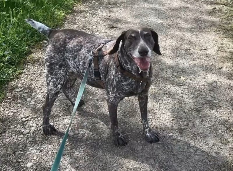 Esther: sie braucht dringend Hilfe