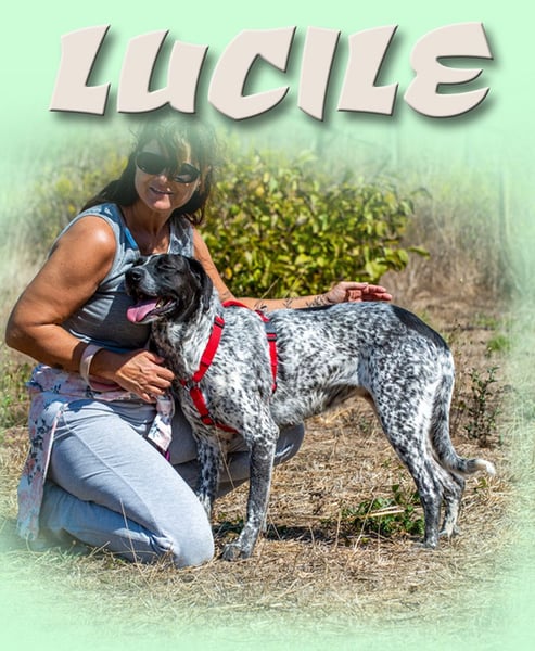 Lucile - ein feines Maedchen