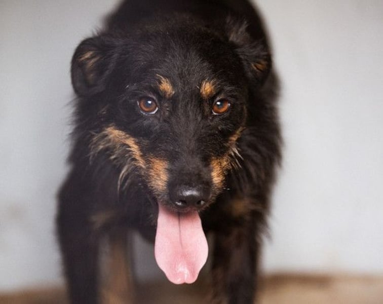 Maylo ❤️ sucht viel Liebe + Geborgenheit