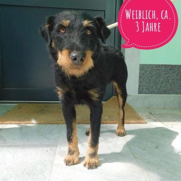 No name - wundervolles Mädchen