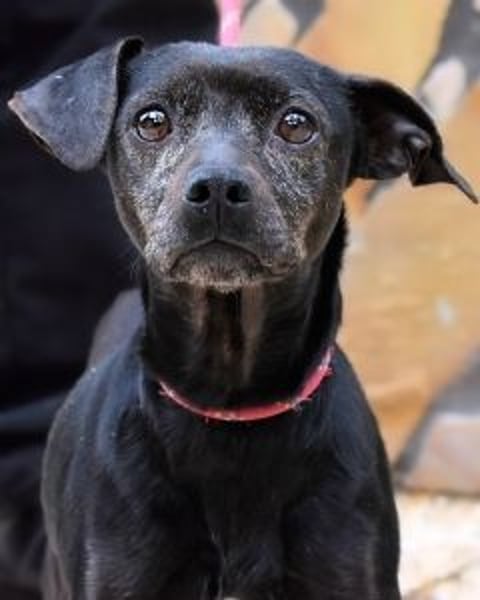 Ivonelle - Wenn Jahre dreifach zählen