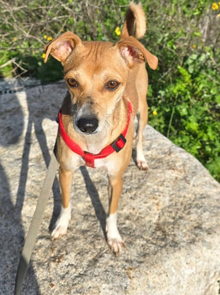 Mammola ist bereit für die großen Abenteuer