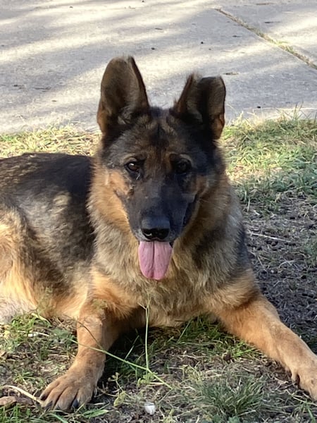 Tara - hat sie überhaupt noch eine Chance???