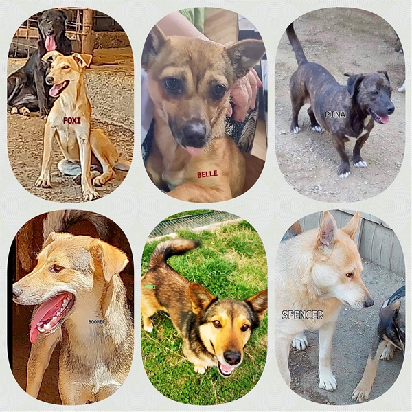 DRINGEND PFLEGESTELLEN GESUCHT !!