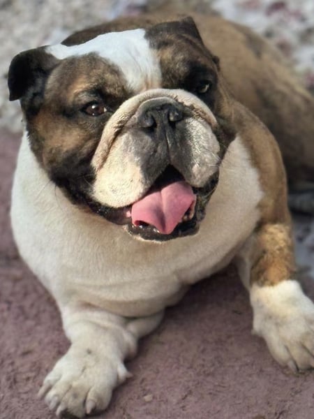 Notfall Manolo hofft auf seine Chance