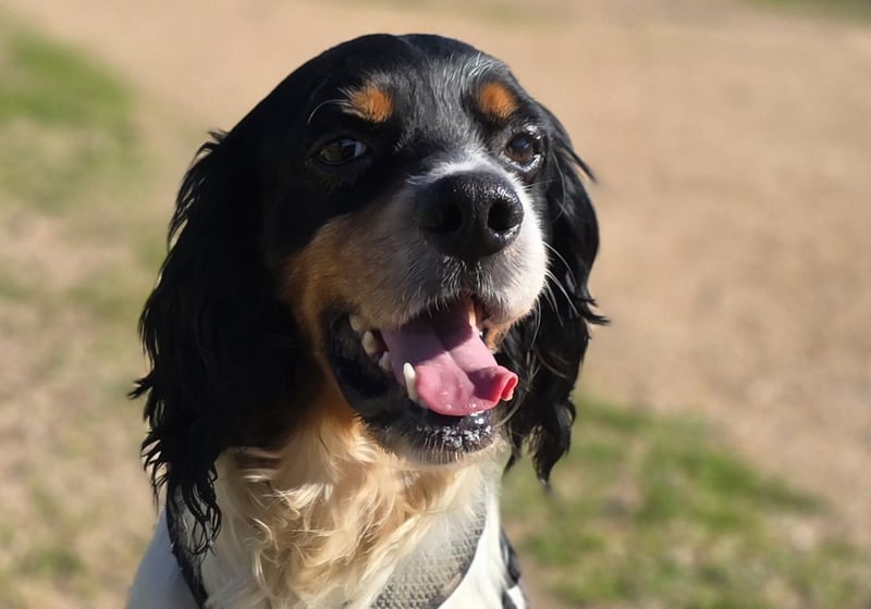 Moreno: Menschen sind ihm sehr wichtig