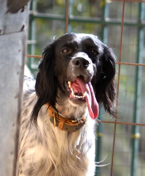 Fiona - wer heilt meine gebrochene Seele?