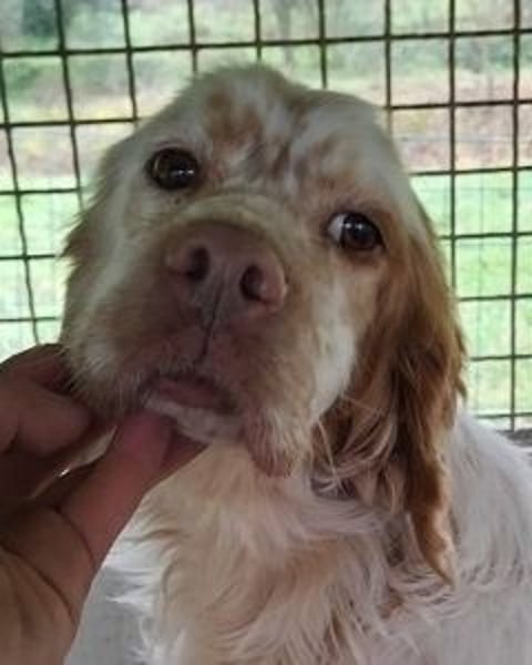 Beto - Eine alte Geschichte, ein neues Kapitel