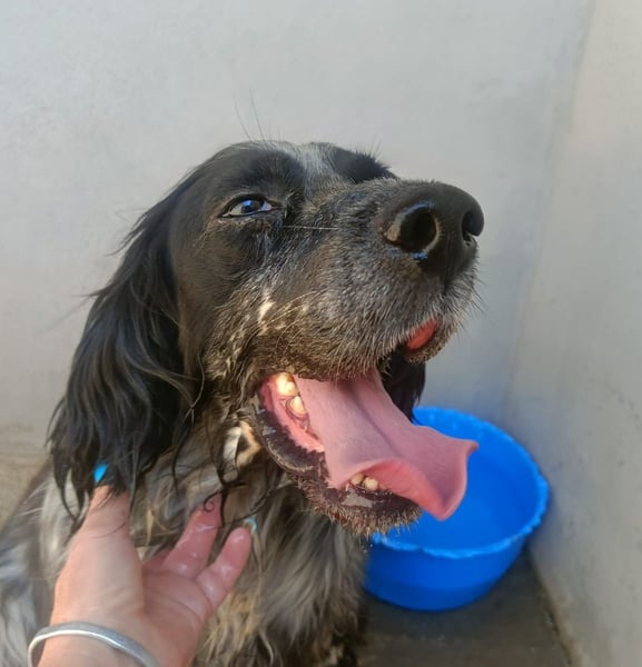 Zeus