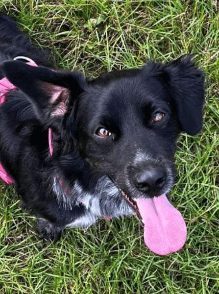 Wesley - wann geht es los?