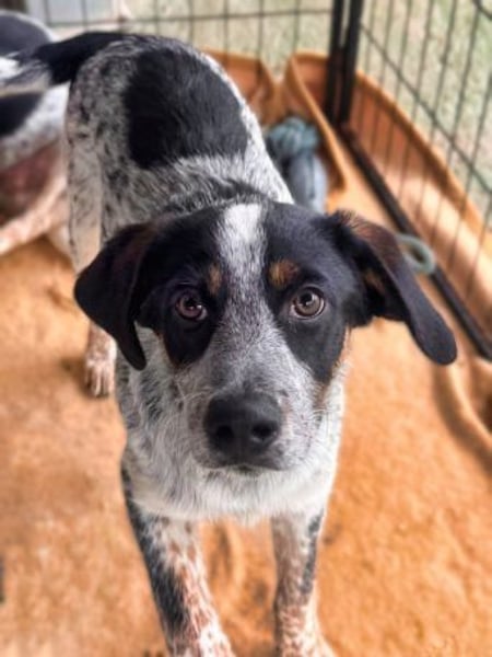 Oceano möchte endlich die Welt entdecken