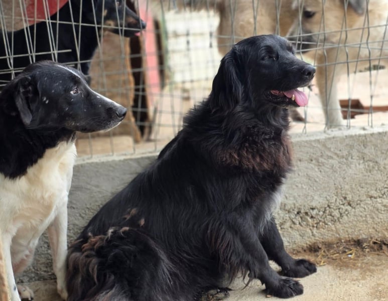 Fetizia  - sooo freundlich