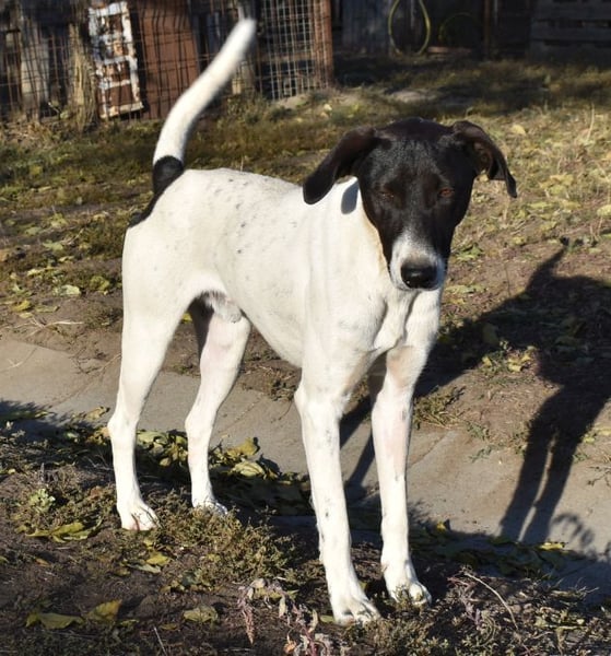 Móric - Wirbelwind voller Lebensfreude