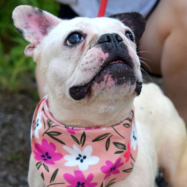 Ginny sucht liebe und geduldige Menschen