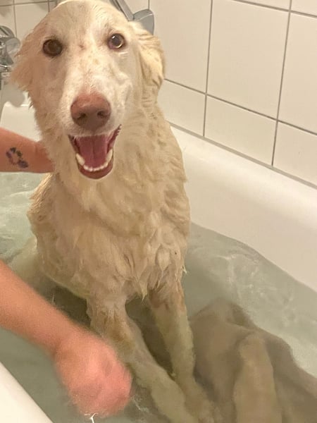 Milo: freut sich auf Besuch in NRW