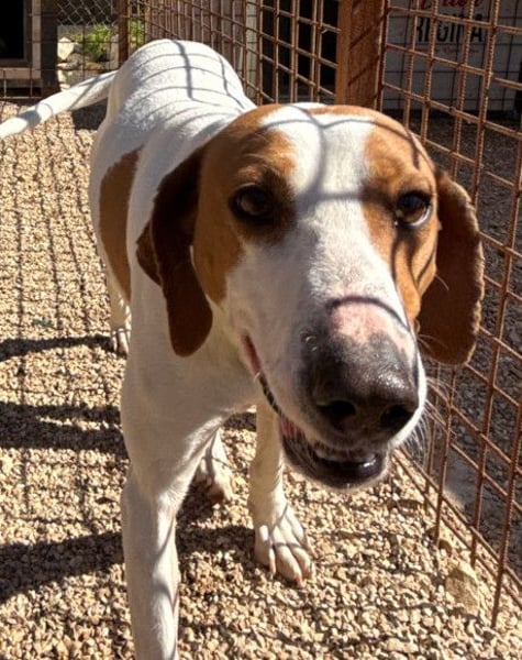 Jaron ❤️ aktiv, intelligent & so lieb!