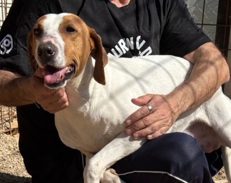 Jaron ❤️ aktiv, intelligent & so lieb!