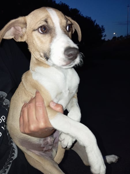 Paolo: Lebensfreude pur