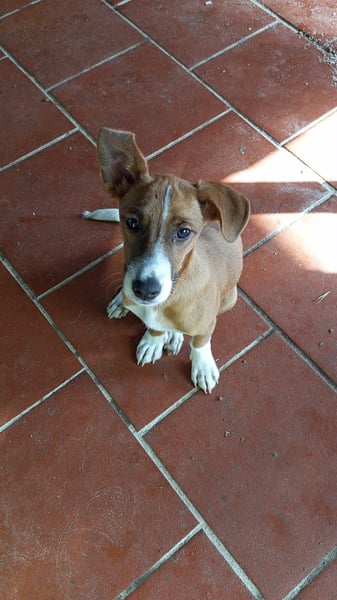 Vincenzo: Lebensfreude pur