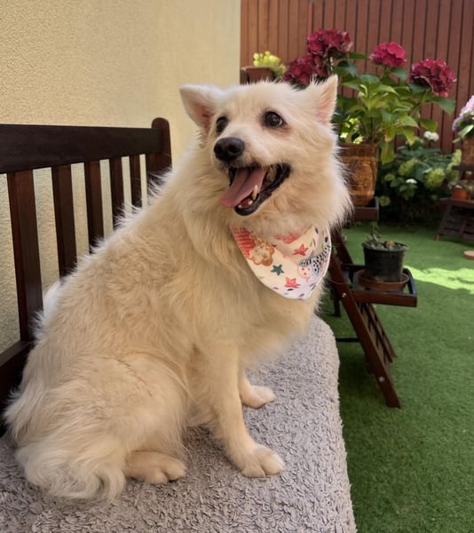 Rosie SR, super süß und freundlich