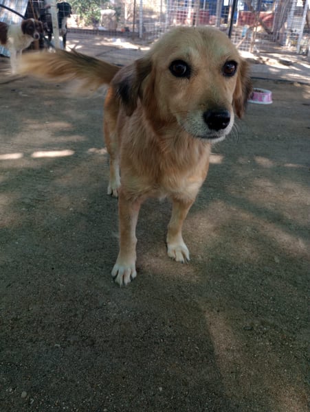 Megan – so still, so schön, so voller Liebe