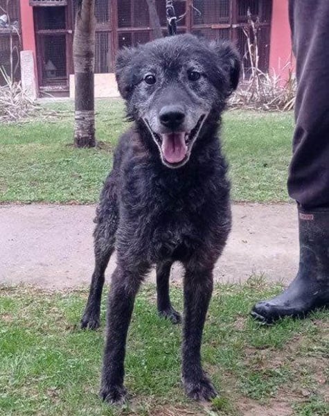OldBoy ♥Billy♥ Senior sucht Treue&Liebe