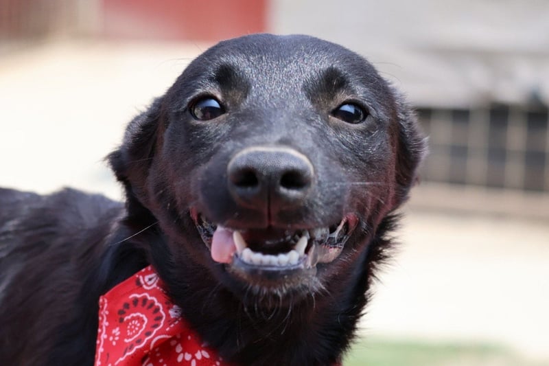 Zarte ♥Ara♥ sucht Vertrauen & Liebe