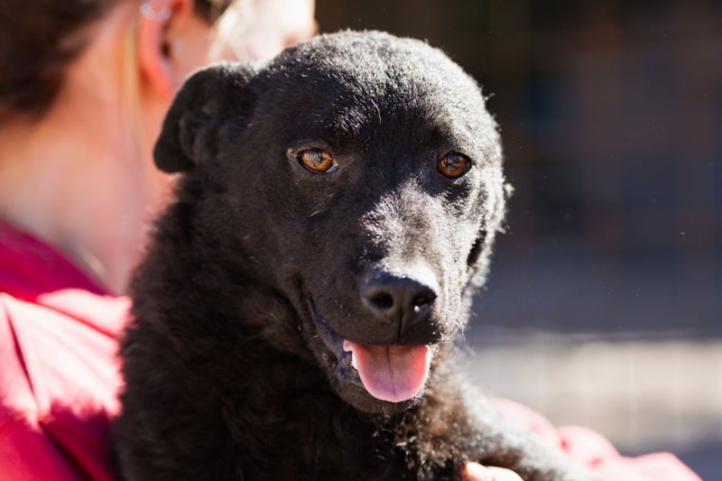 Vinn ❤️ schmusiger, süßer Bub sucht Liebe
