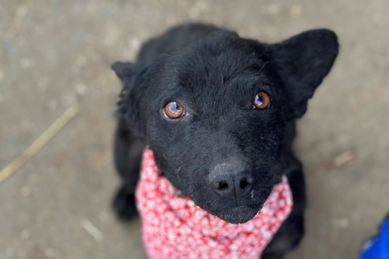 Layla ❤️ sanfte & super liebe junge Maus