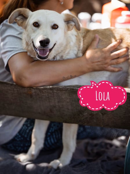 Lola ein dankbares Schatz