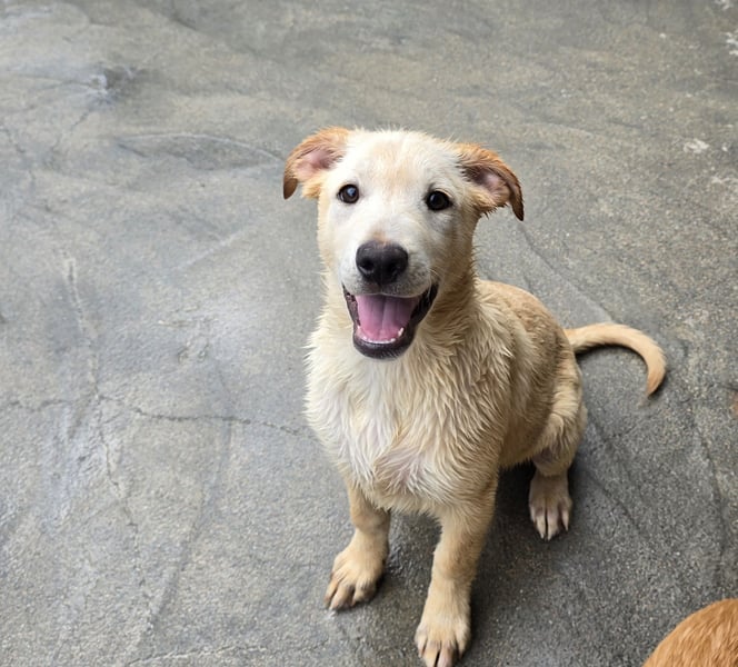 Fidor: Hallo, hier bin ich!