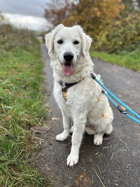 Greta: ein kleiner Sonnenschein