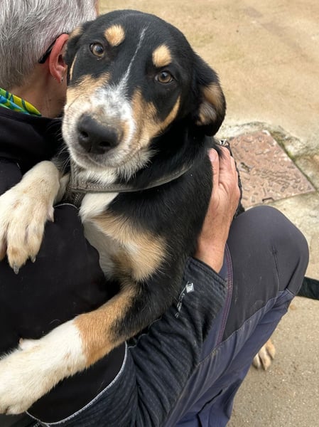 Betty: Hallo, hier bin ich!