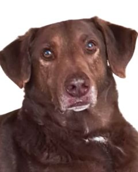 Full - Das Leben ist nicht immer fair