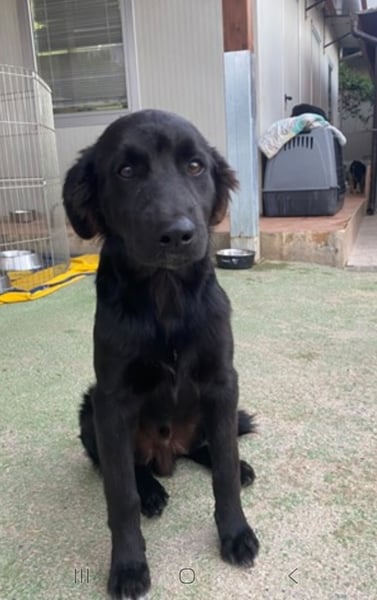 Baldo: ein Schatz für die ganze Familie