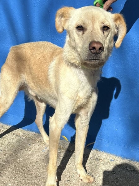 Edu, sucht seine Familie