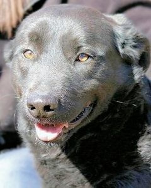 Jonatan - ist liebenswürdig zu Menschen