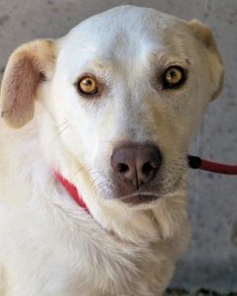 Luken - Zwei Seelen. Zwei Geschichten. Ein Ziel.