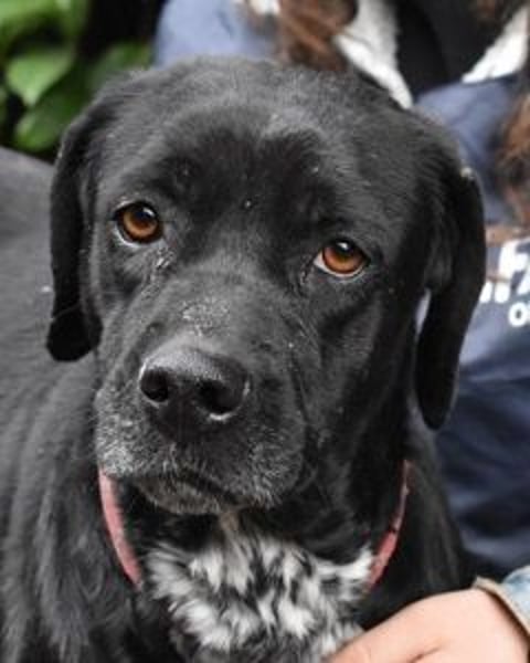 Giodith - Der Traum von einem eigenen Menschen soll wahr werden.