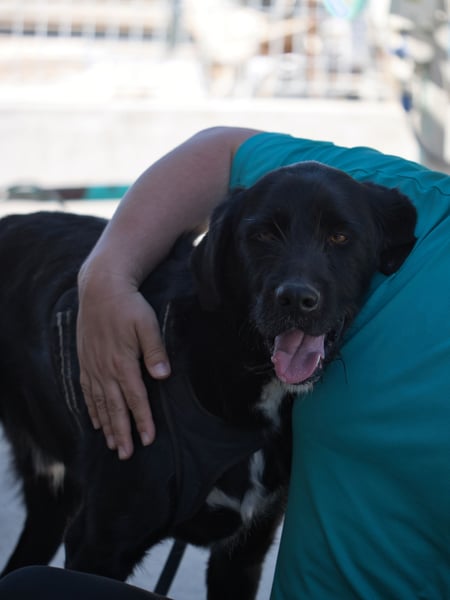 Dibala - ein Herz aus purem Gold