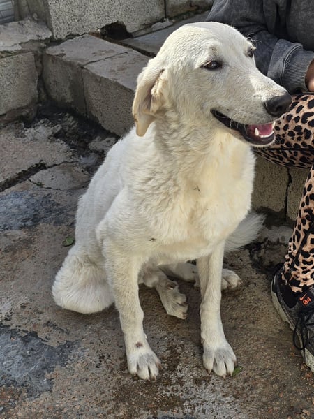 Teo:  wer zeigt ihm die bunte Welt?