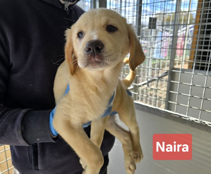 Naira - vom Flughafen ins schöne Leben